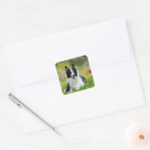 Border Collie in field of Blume Square Aufkleber (Umschlag)