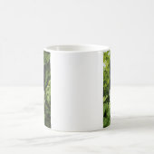 Border Collie in grün Kaffeetasse (Mittel)