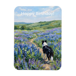 Border Collie in lila Blumen  Magnet