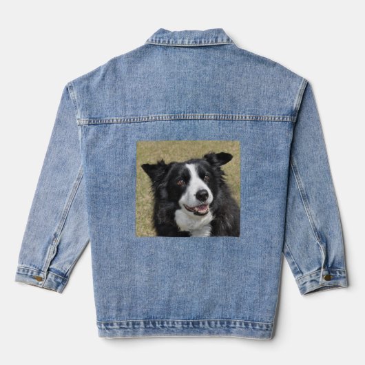 Border Collie Jeansjacke (Rückseite)