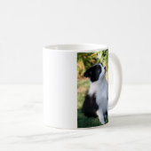 Border Collie Kaffeetasse (VorderseiteRechts)