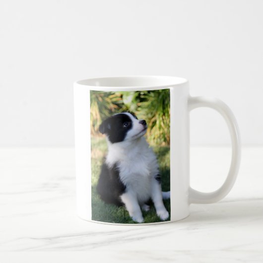 Border Collie Kaffeetasse (Rechts)