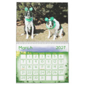 Border-Collie-Kalender 2011 Kalender (Mär 2027)