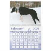 Border-Collie-Kalender 2011 Kalender (Feb 2026)