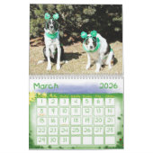 Border-Collie-Kalender 2011 Kalender (Mär 2026)