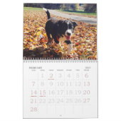 Border-Collie-Kalender 2017 Kalender (Feb 2027)