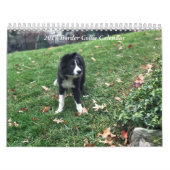 Border-Collie-Kalender 2017 Kalender (Titelbild)
