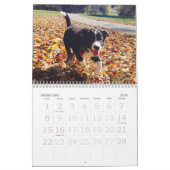 Border-Collie-Kalender 2017 Kalender (Feb 2026)