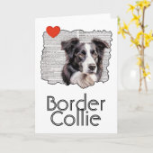 Border Collie Karte (Gelbe Blume)