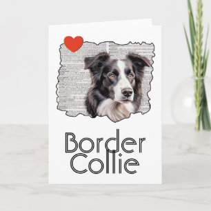 Border Collie Karte