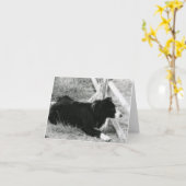 Border-Collie Karte (Gelbe Blume)