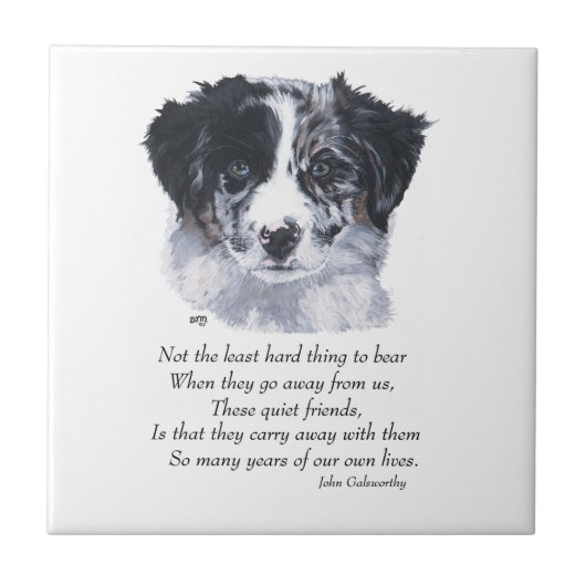 Border Collie Keepsakes Fliese (Vorderseite)