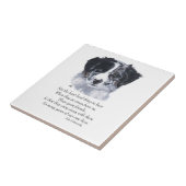 Border Collie Keepsakes Fliese (Seite)