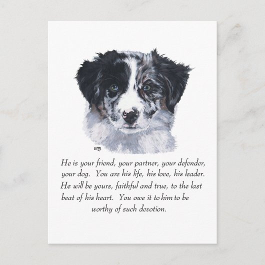 Border Collie Keepsakes Postkarte (Vorderseite)