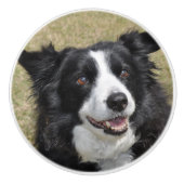 Border collie keramikknauf (Vorderseite)
