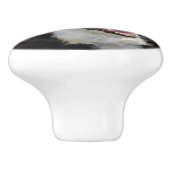 Border collie keramikknauf (Seitenansicht)