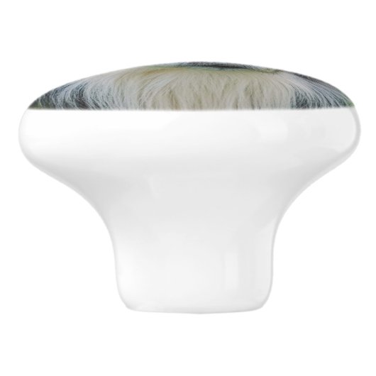 Border Collie Keramikknauf (Seitenansicht)