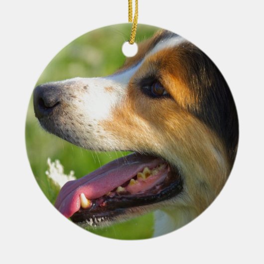 Border-Collie Keramikornament (Vorne)