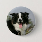 Border-Collie-KeuchenHeadshot 1 Button (Vorderseite)