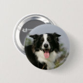 Border-Collie-KeuchenHeadshot 1 Button (Vorne & Hinten)