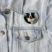 Border-Collie-KeuchenHeadshot 1 Button (Beispiel)