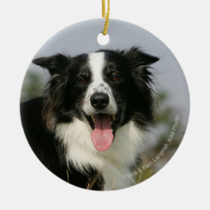 Border-Collie-KeuchenHeadshot 1 Keramik Ornament