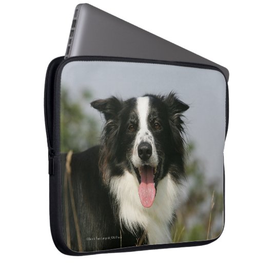 Border-Collie-KeuchenHeadshot 1 Laptopschutzhülle (Vorne Rechts)