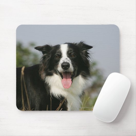 Border-Collie-KeuchenHeadshot 1 Mousepad (Mit Mouse)