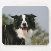 Border-Collie-KeuchenHeadshot 1 Mousepad (Vorne)