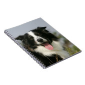 Border-Collie-KeuchenHeadshot 1 Notizblock (Rechte Seite)