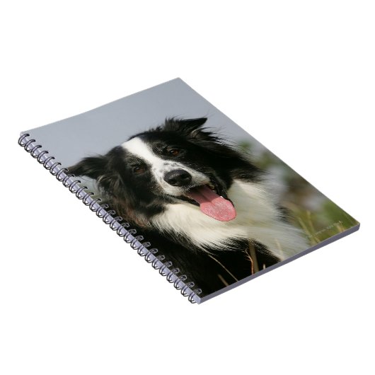 Border-Collie-KeuchenHeadshot 1 Notizblock (Rechte Seite)
