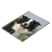 Border-Collie-KeuchenHeadshot 1 Notizblock (Linke Seite)
