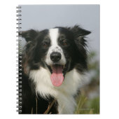 Border-Collie-KeuchenHeadshot 1 Notizblock (Vorderseite)