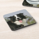 Border-Collie-KeuchenHeadshot 1 Untersetzer (Linke Seite)