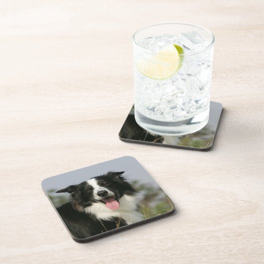 Border-Collie-KeuchenHeadshot 1 Untersetzer (Rechte Seite)