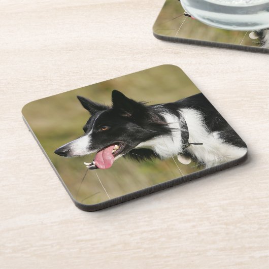 Border-Collie-KeuchenHeadshot 2 Getränkeuntersetzer (Linke Seite)
