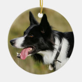 Border-Collie-KeuchenHeadshot 2 Keramikornament (Vorne)