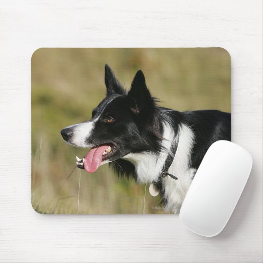 Border-Collie-KeuchenHeadshot 2 Mousepad (Mit Mouse)
