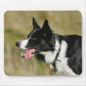 Border-Collie-KeuchenHeadshot 2 Mousepad (Vorne)
