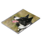 Border-Collie-KeuchenHeadshot 2 Notizblock (Linke Seite)