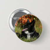 Border-Collie-Keuchenniederlegung Button (Vorne & Hinten)