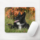 Border-Collie-Keuchenniederlegung Mousepad (Mit Mouse)