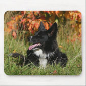 Border-Collie-Keuchenniederlegung Mousepad (Vorne)