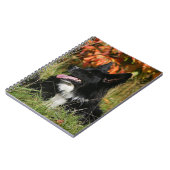 Border-Collie-Keuchenniederlegung Notizblock (Linke Seite)