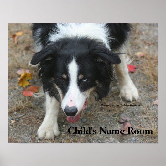 Border Collie Kids Room Personalisiertes Wall Post Poster (Vorne)