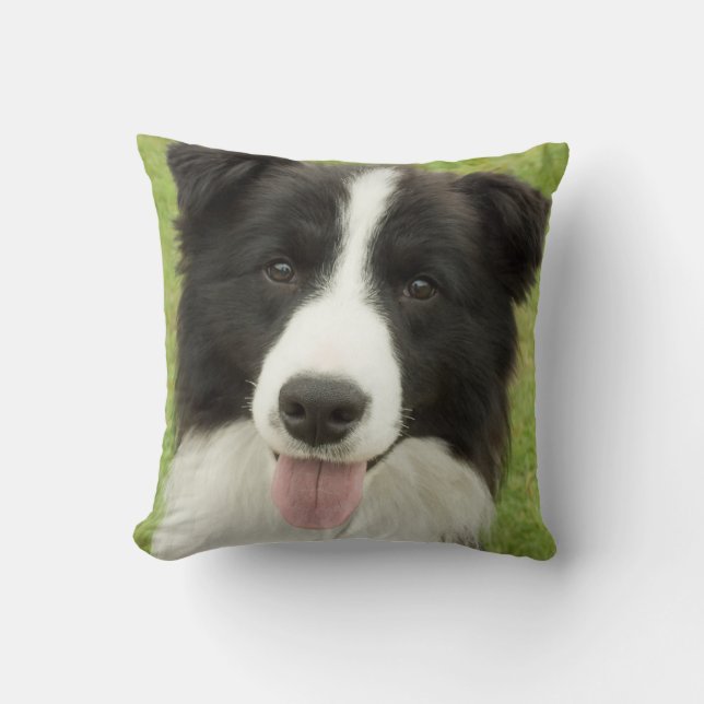 Border Collie Kissen (Vorderseite)