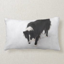 Border-Collie-Kissen Lendenkissen