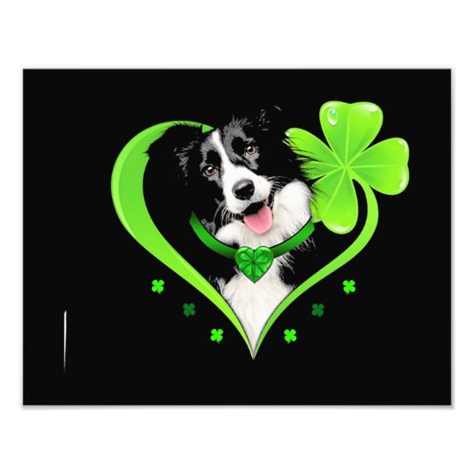 Border Collie Kleeblatt Heart Fotodruck (Vorne)