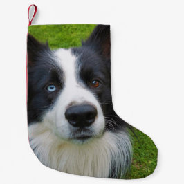 Border Collie Kleiner Weihnachtsmann-Strumpf Kleiner Weihnachtsstrumpf