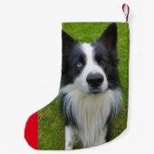 Border Collie Kleiner Weihnachtsstrumpf (Rückseite)